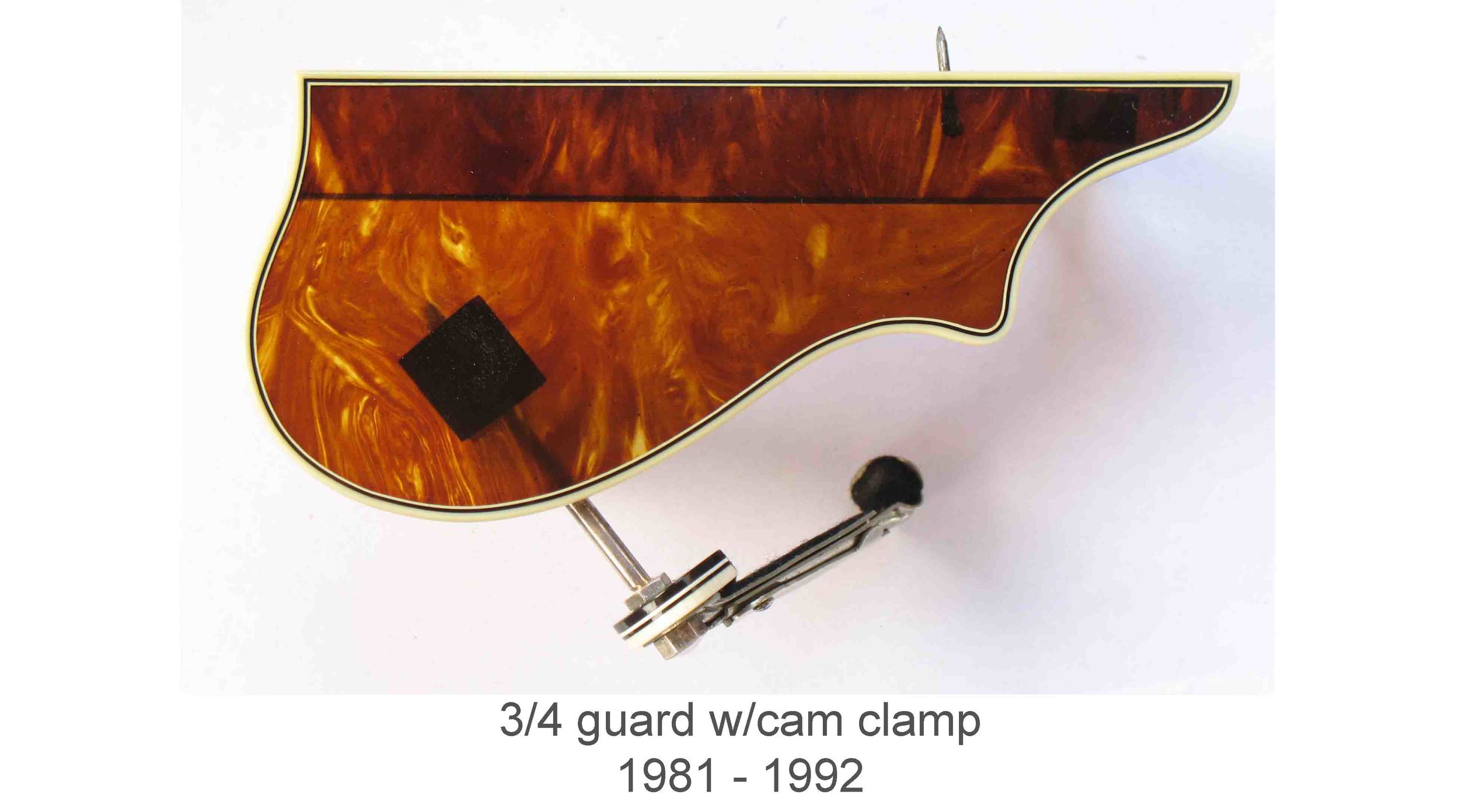 pguard small.jpg