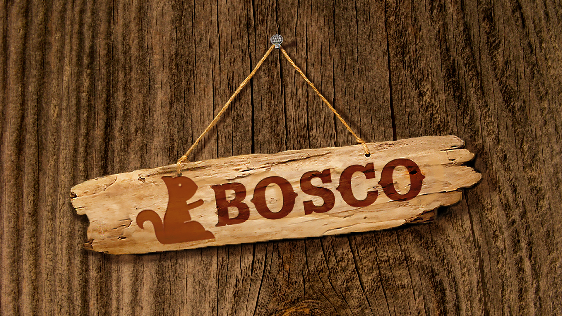 Wood paints being a category in which most of the consumers are carpenters who usually refer to products by a color or an icon, we wanted to make it as easy as possible for them. Bosco the friendly chipmunk was born, who helps cultivate the land wit