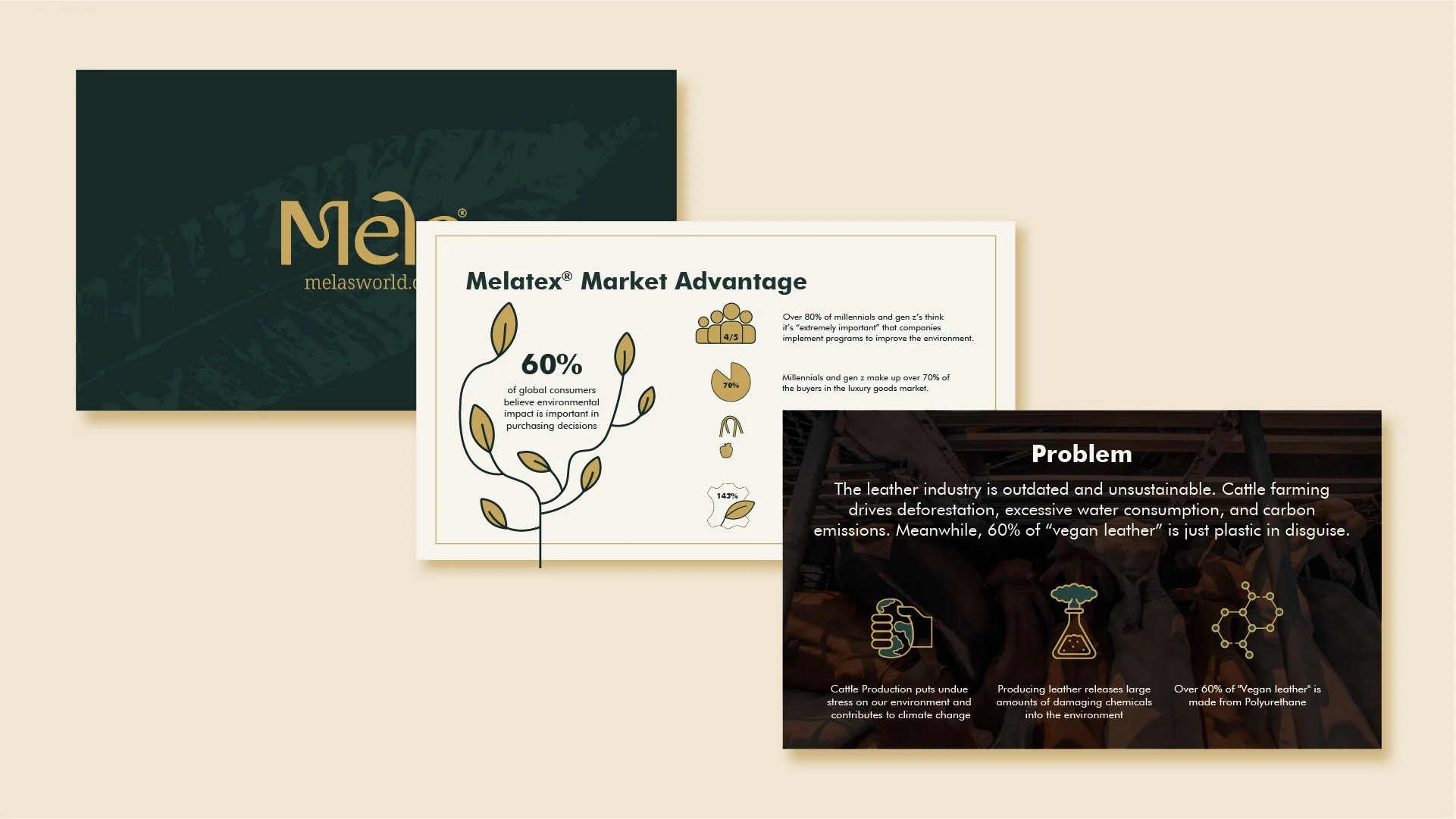 Mela Pitch Deck-03.jpg