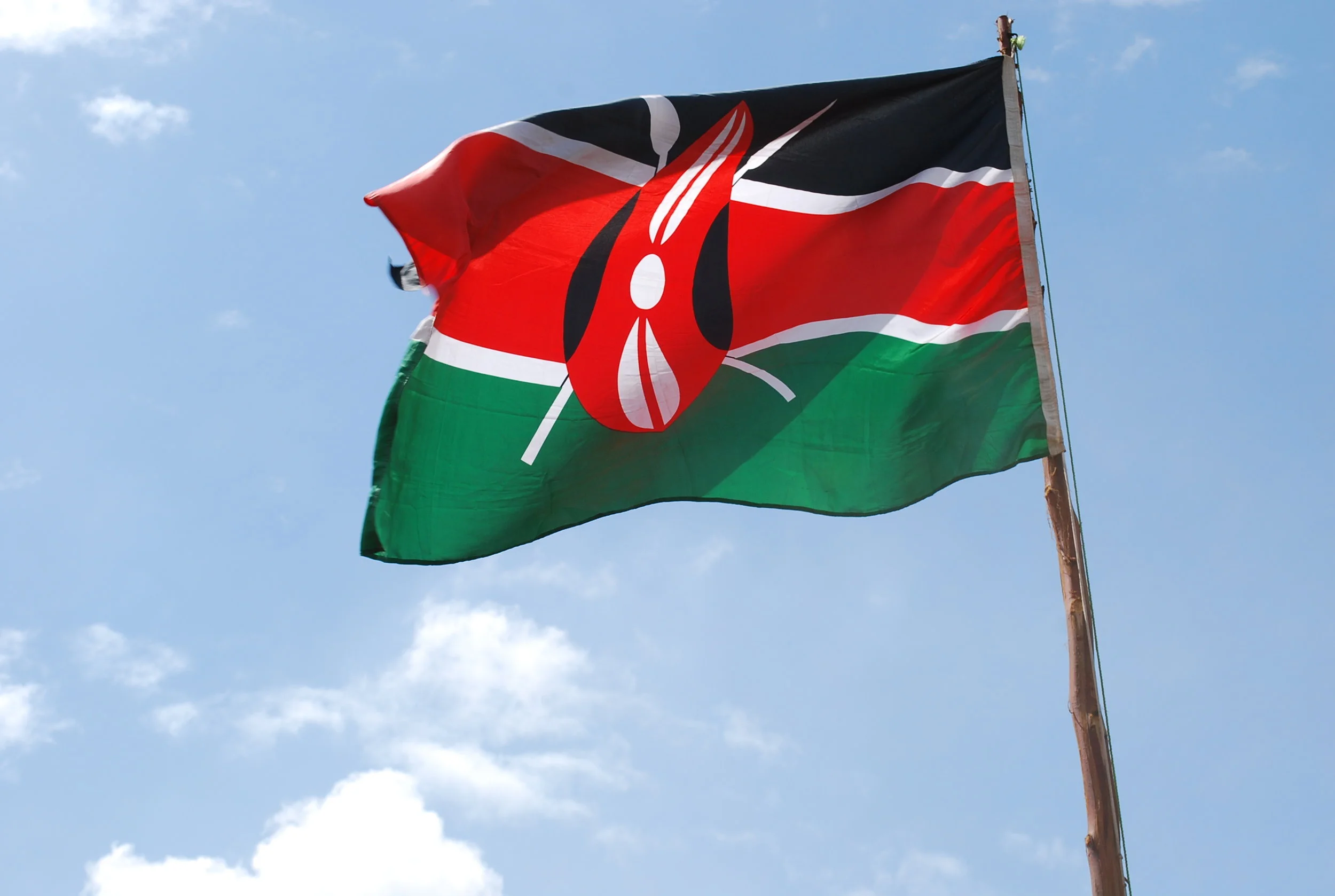 Meet our US Board Members