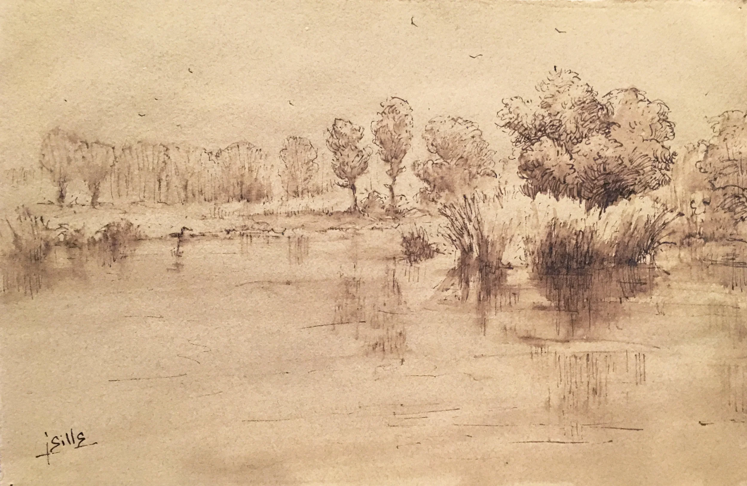 Across a Pond   pen and ink with wash   7"x11"  2016