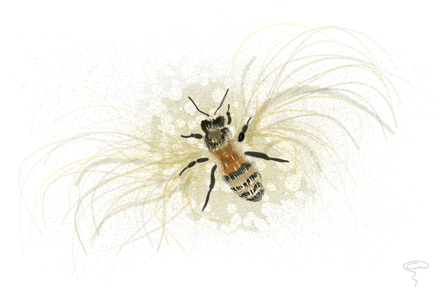 Watching Maya the bee… so got inspired.