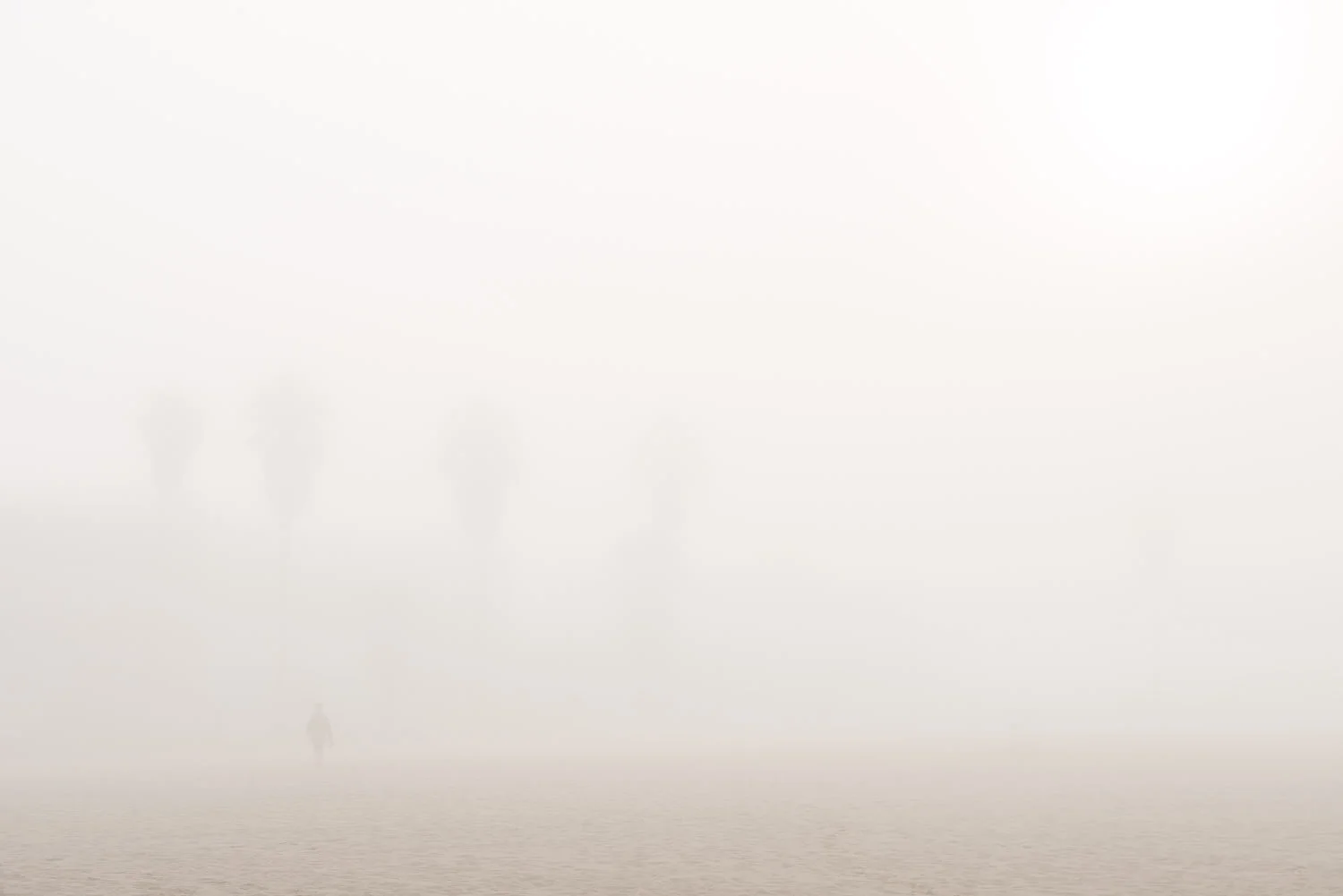 MRP_20120301_0116.jpg