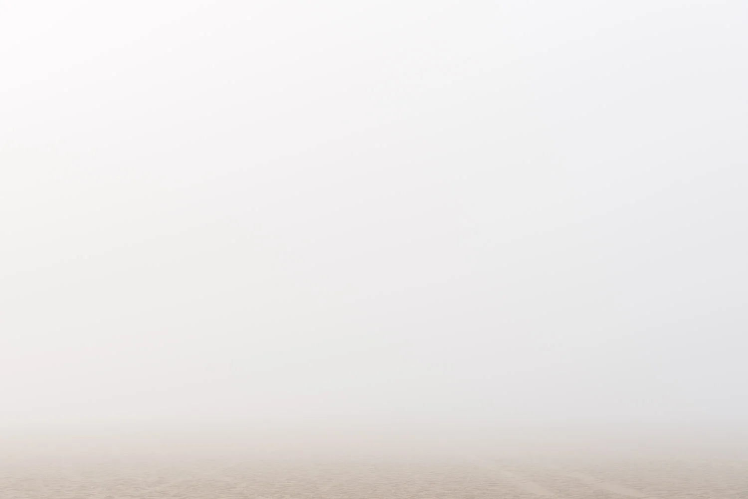 MRP_20120301_0120.jpg