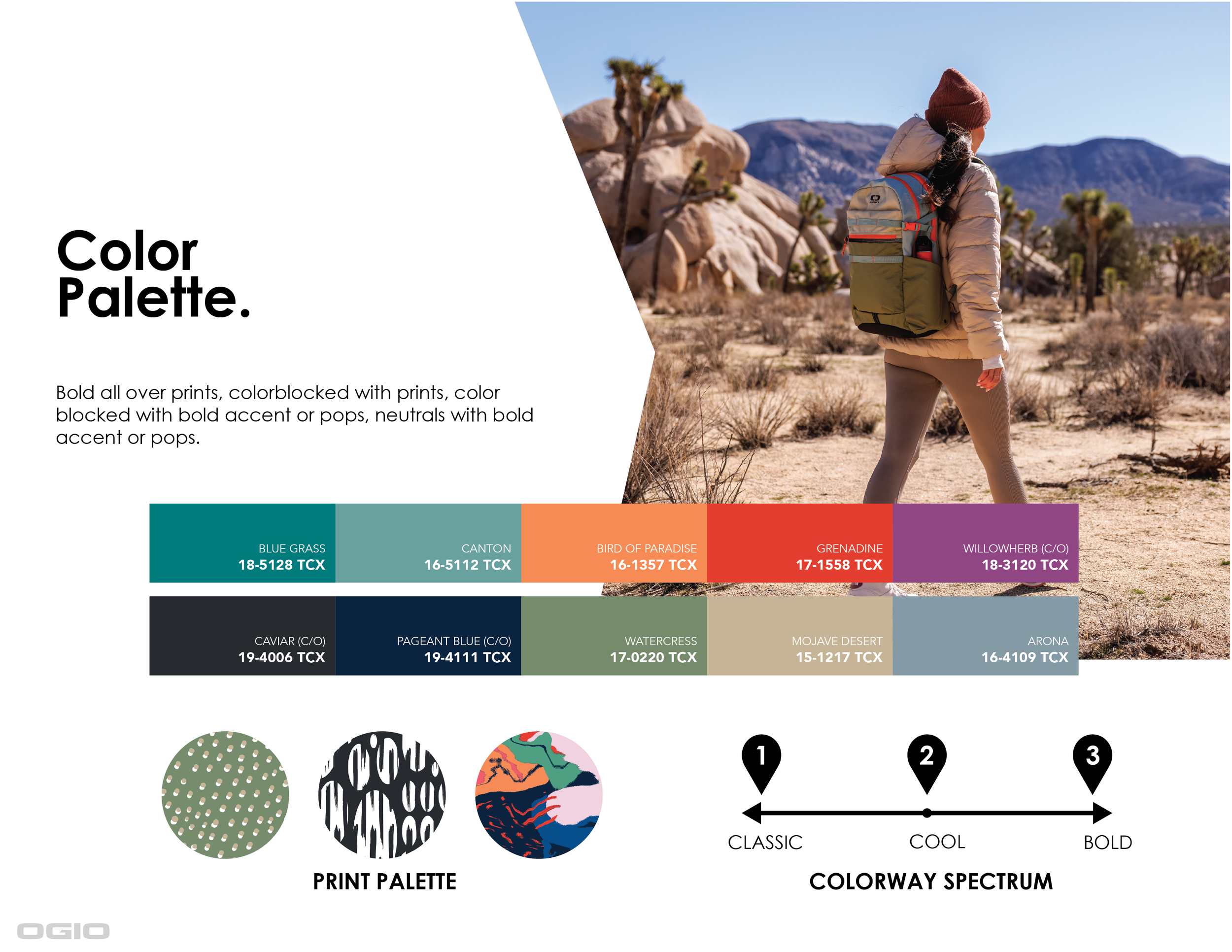 Alpha Brand Book-03.png