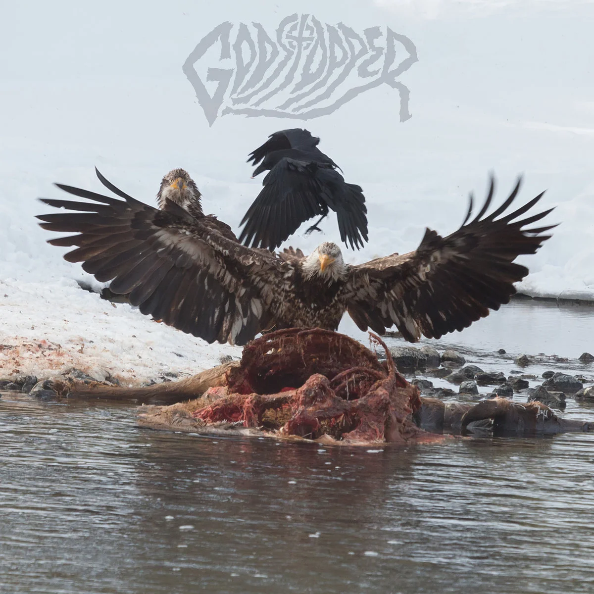 Godstopper- Who Tries Anymore EP Review 