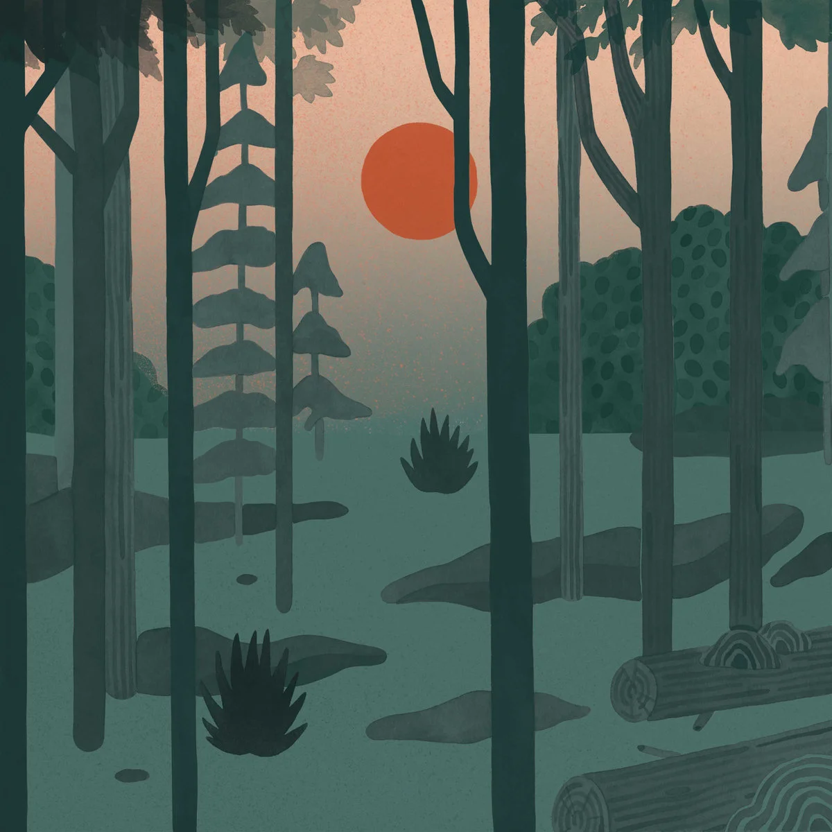 Mark Tremblay's Top Albums of 2016