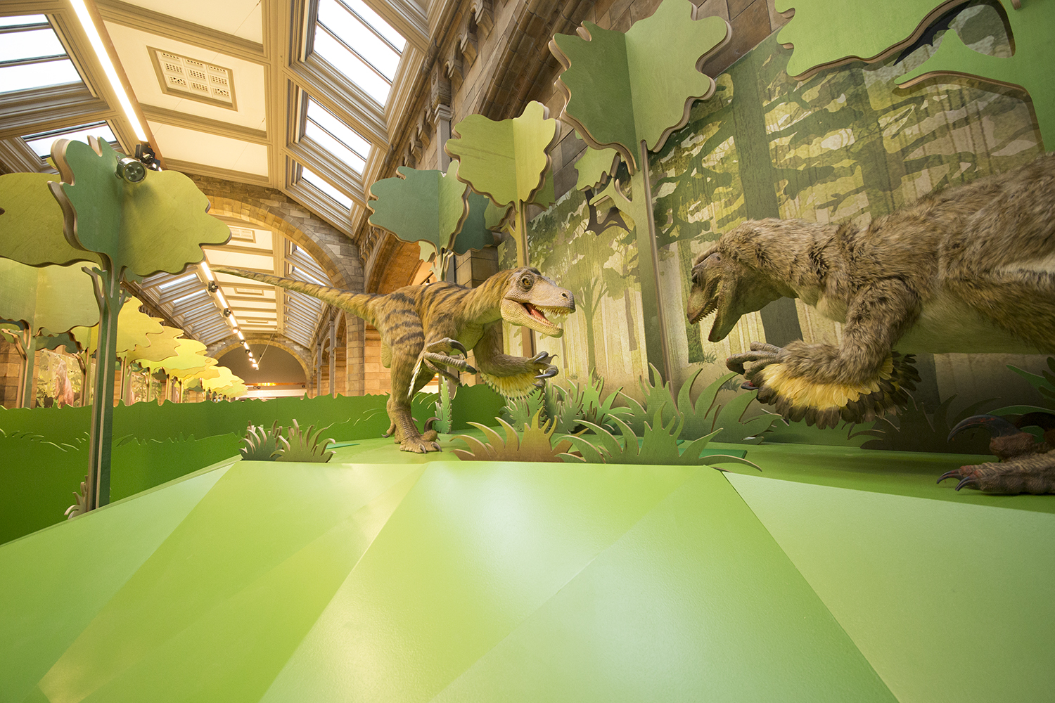 Photo Credit: Natural History Museum