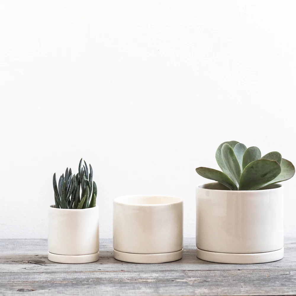 Tabletop Planter in Gloss White  Tandem Ceramics