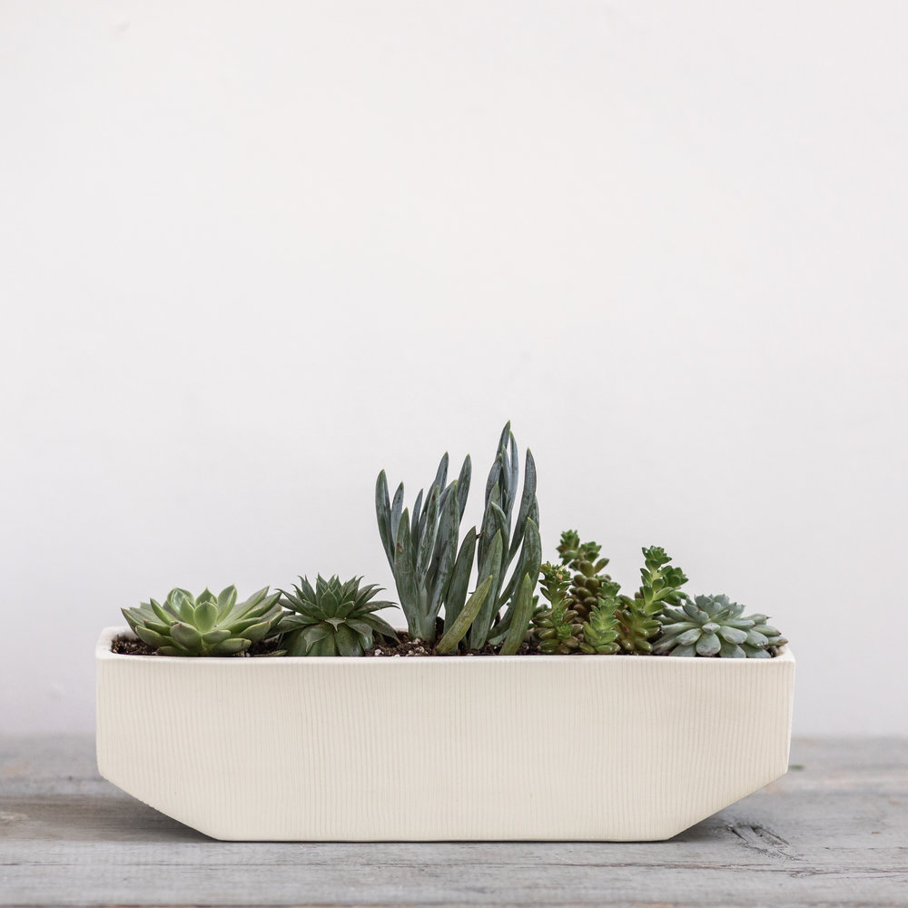 Linea Windowsill Planters 