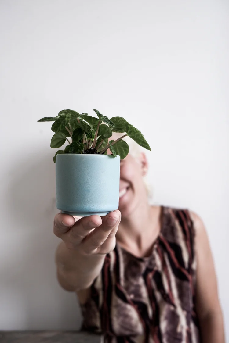 colorful ceramic plant pots Handpainted Planters – Wing on Wo & Co