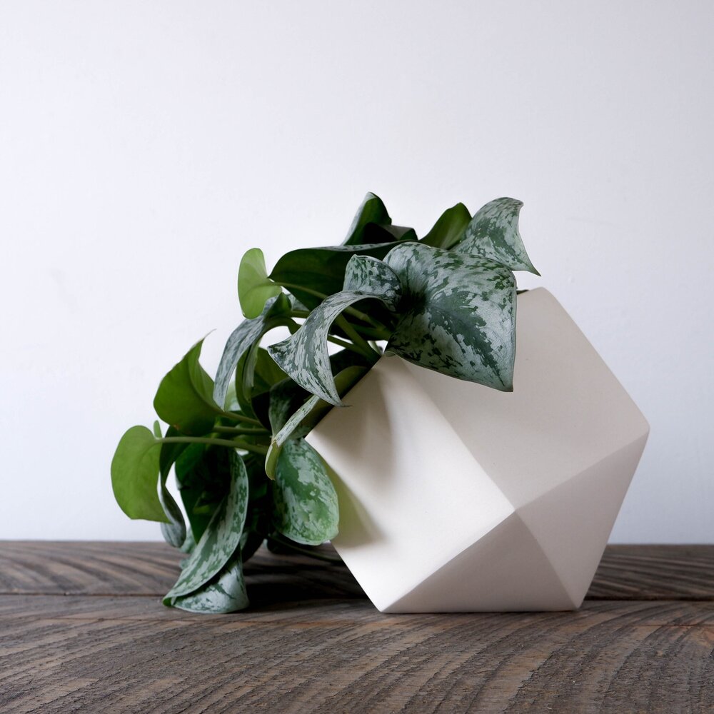 Linea Windowsill Planters 