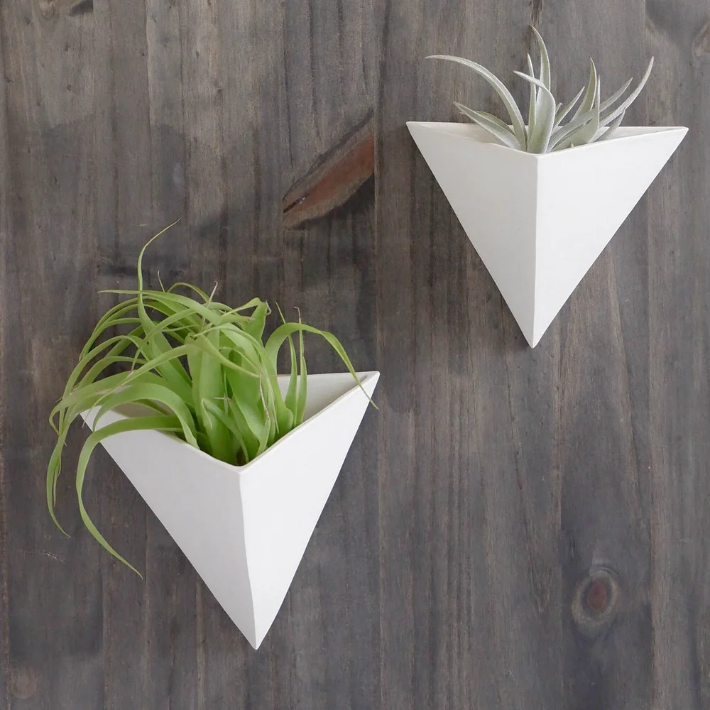 Tetra Air Plant Holders  Tandem Ceramics