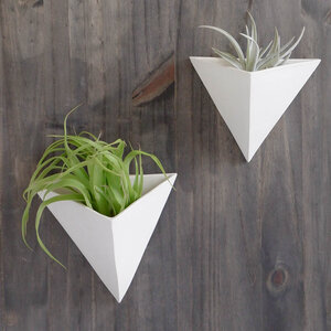 Linea Windowsill Planters 