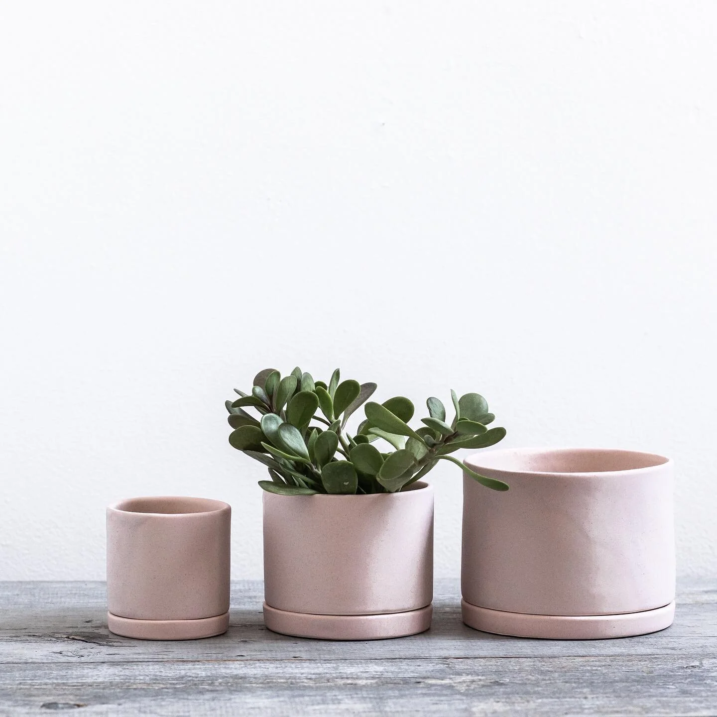 Want to grow your plant sanctuary? Now through Sunday we&rsquo;re doing free shipping on orders over $100. Why? No good reason other than we love you, and we wants your plants to live in cute clay homes 💖happy weekend y&rsquo;all
-
-
-
-
-
-
-
-
#pl