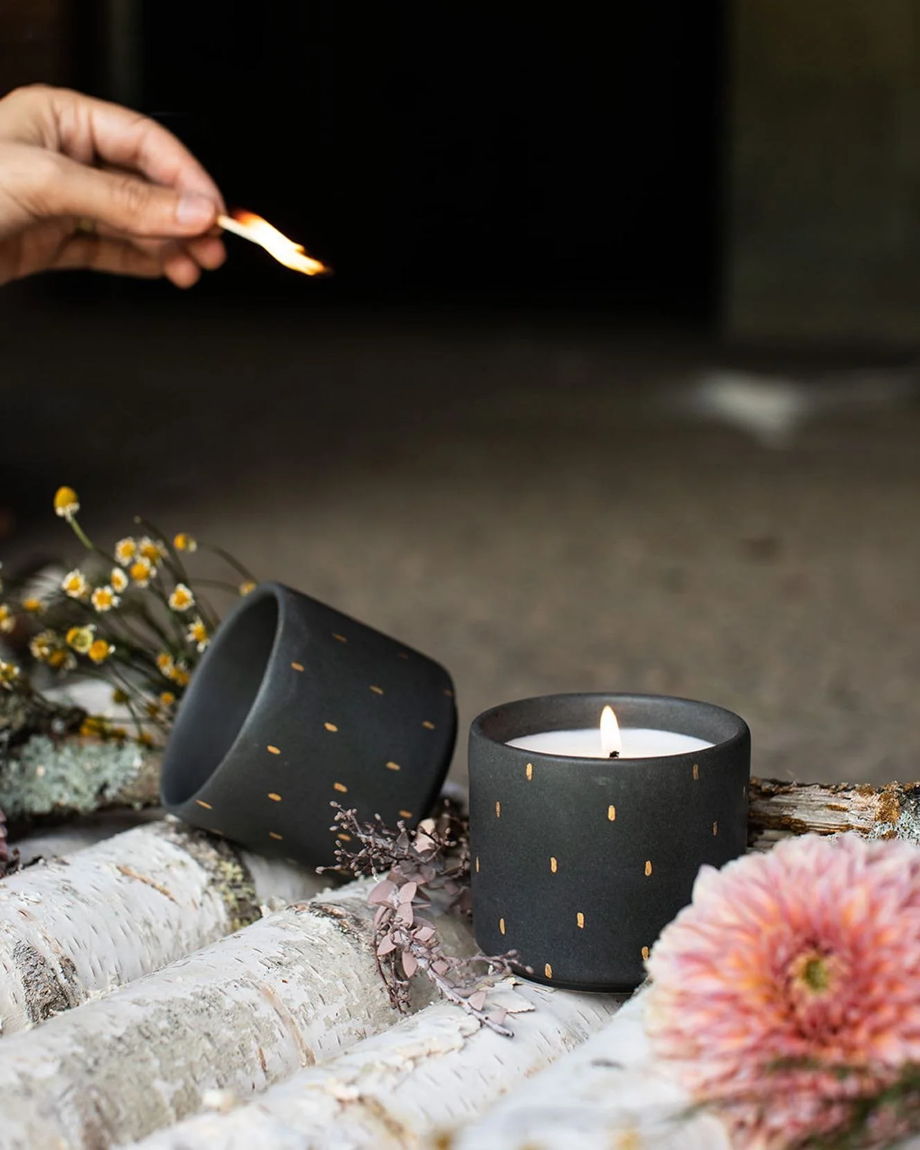 What a week it&rsquo;s been! RBG is gone, the GOP is proving to be even more hypocritical and corrupt, there is still no justice for Breonna Taylor, and the fires on the west coast continue to rage! Sometimes we are at a loss at how to move forward. 