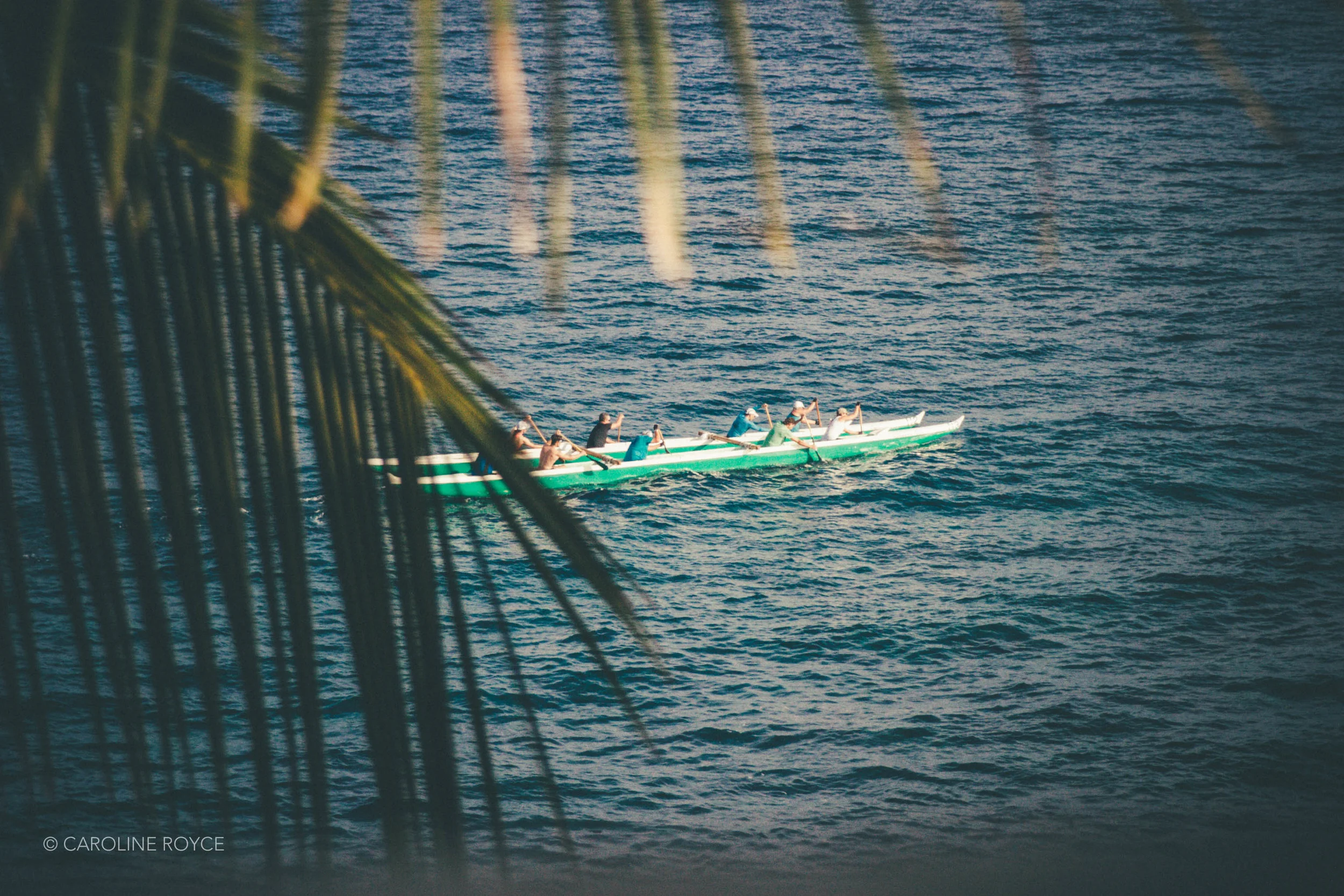 HAWAII-7.jpg