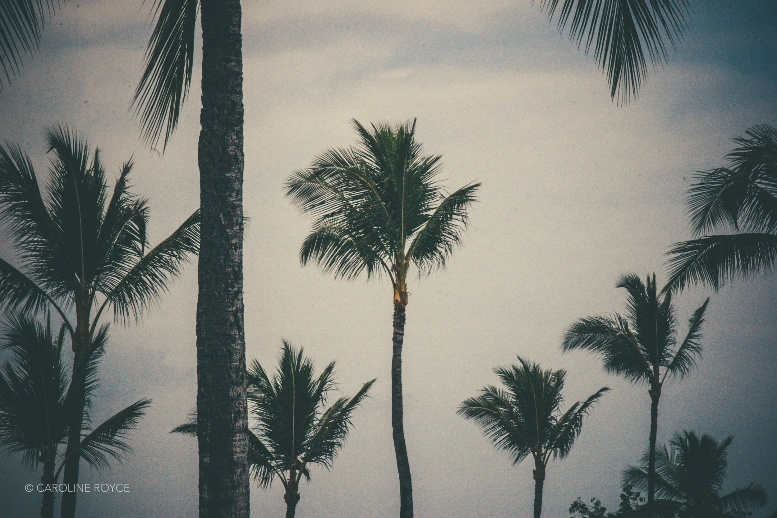 HAWAII-14.jpg