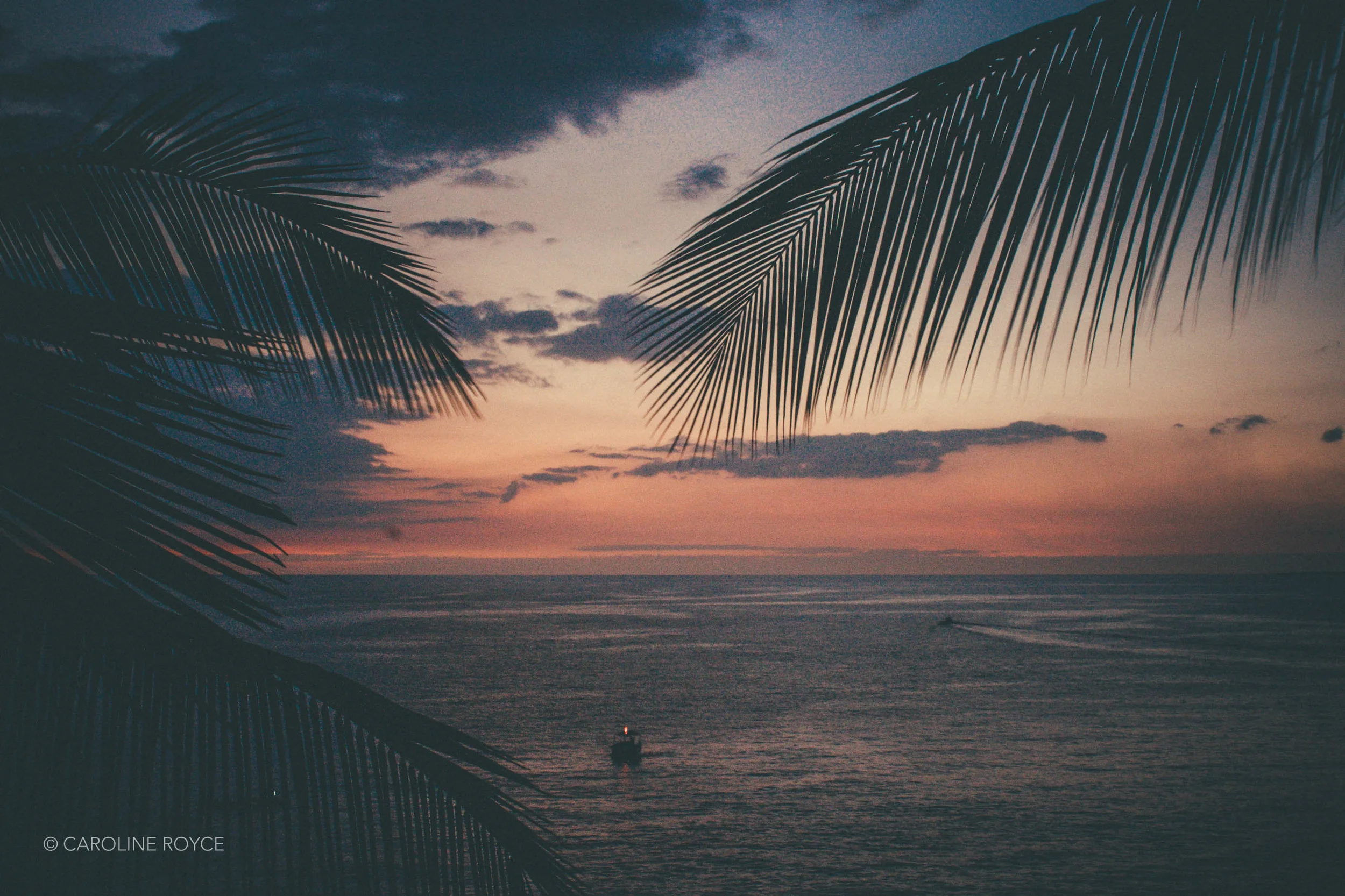 HAWAII-24.jpg
