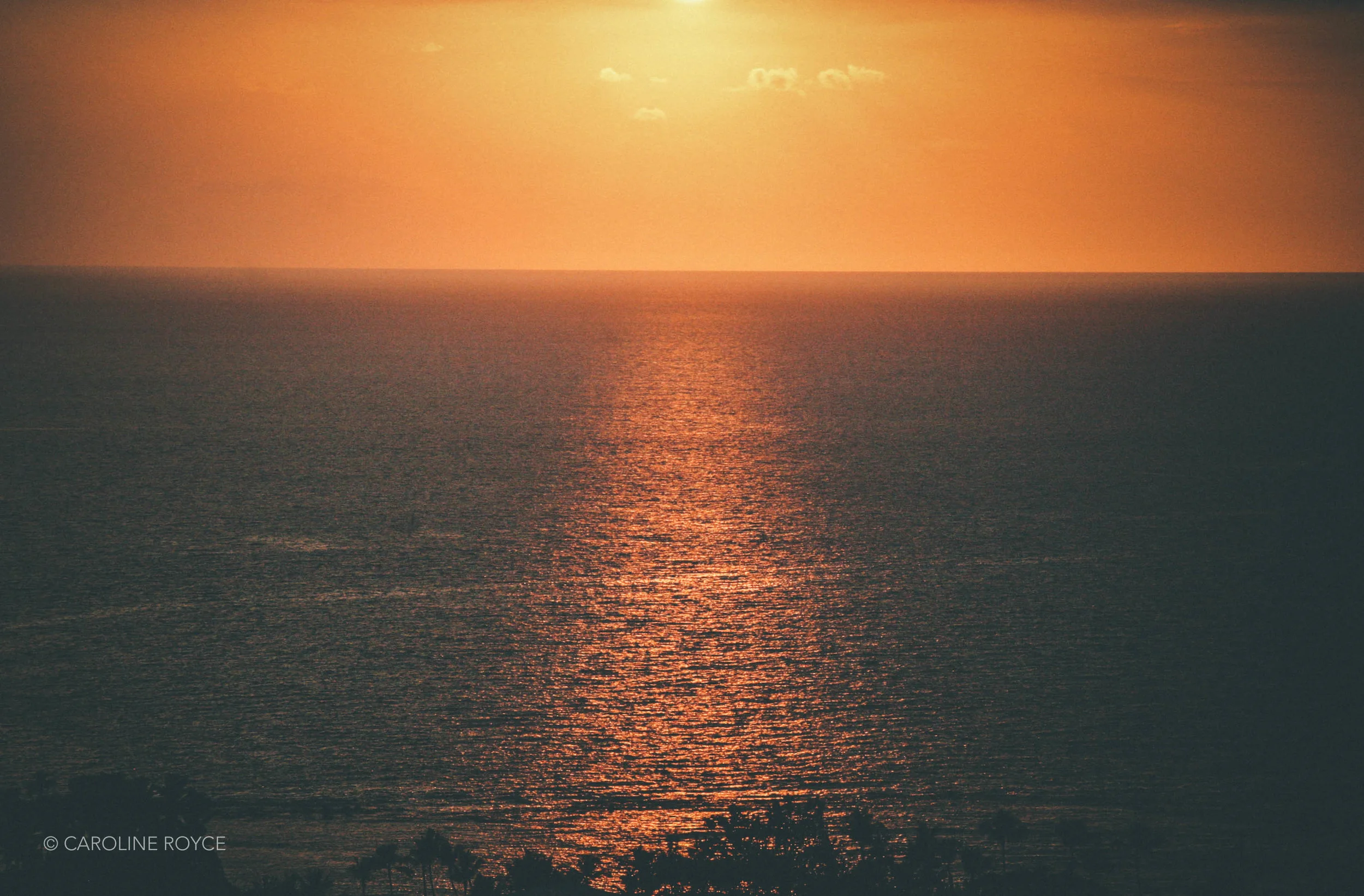 HAWAII-70.jpg