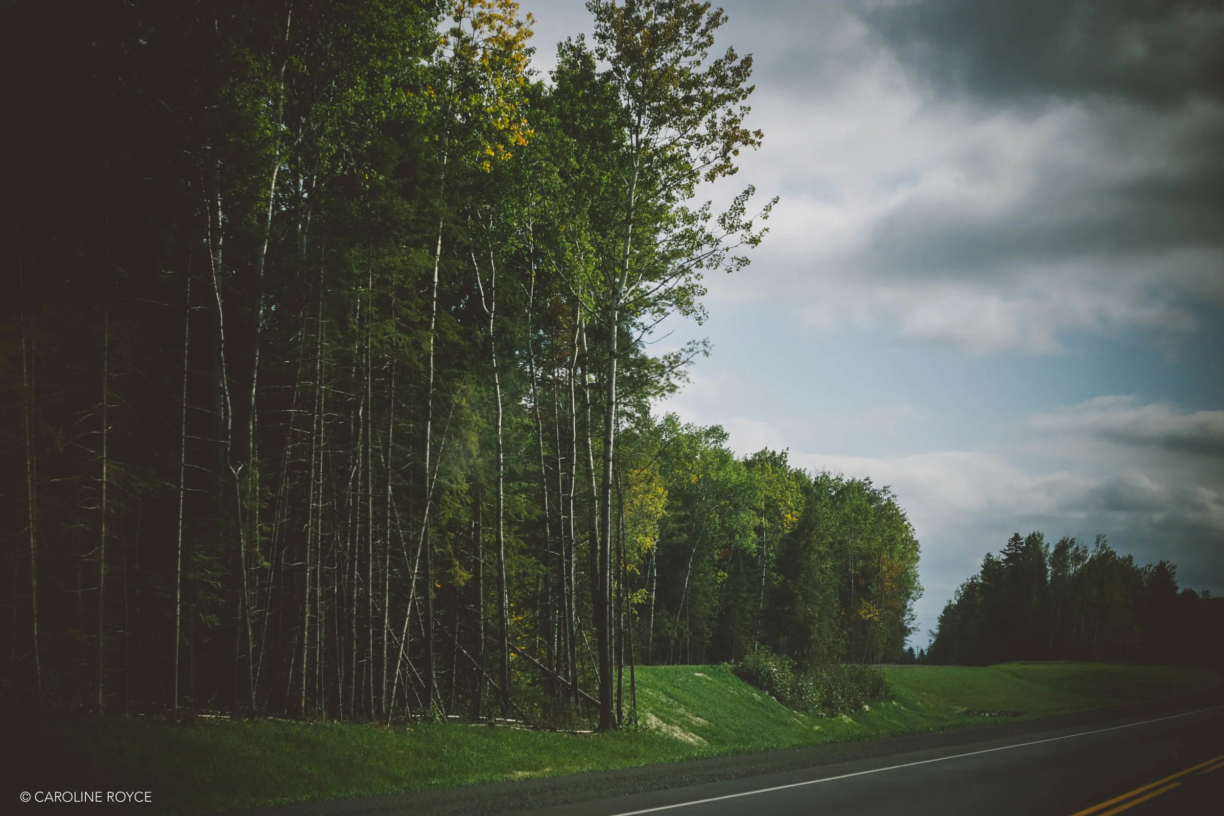 UPPERPENINSULA-1.jpg