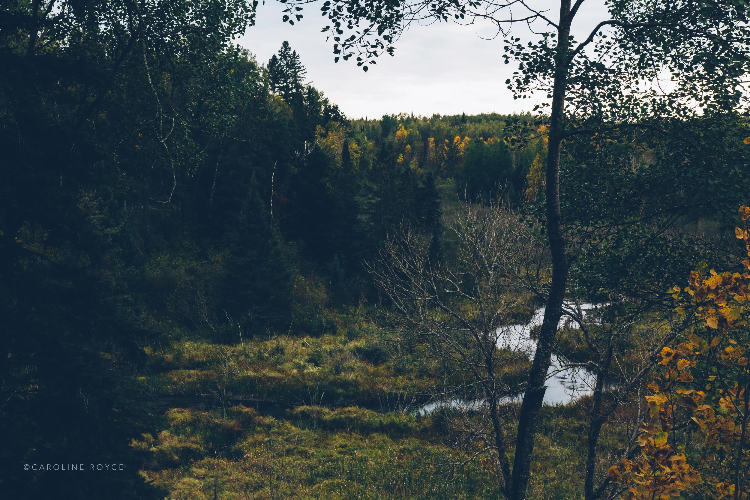 FALLRETREAT-58.jpg