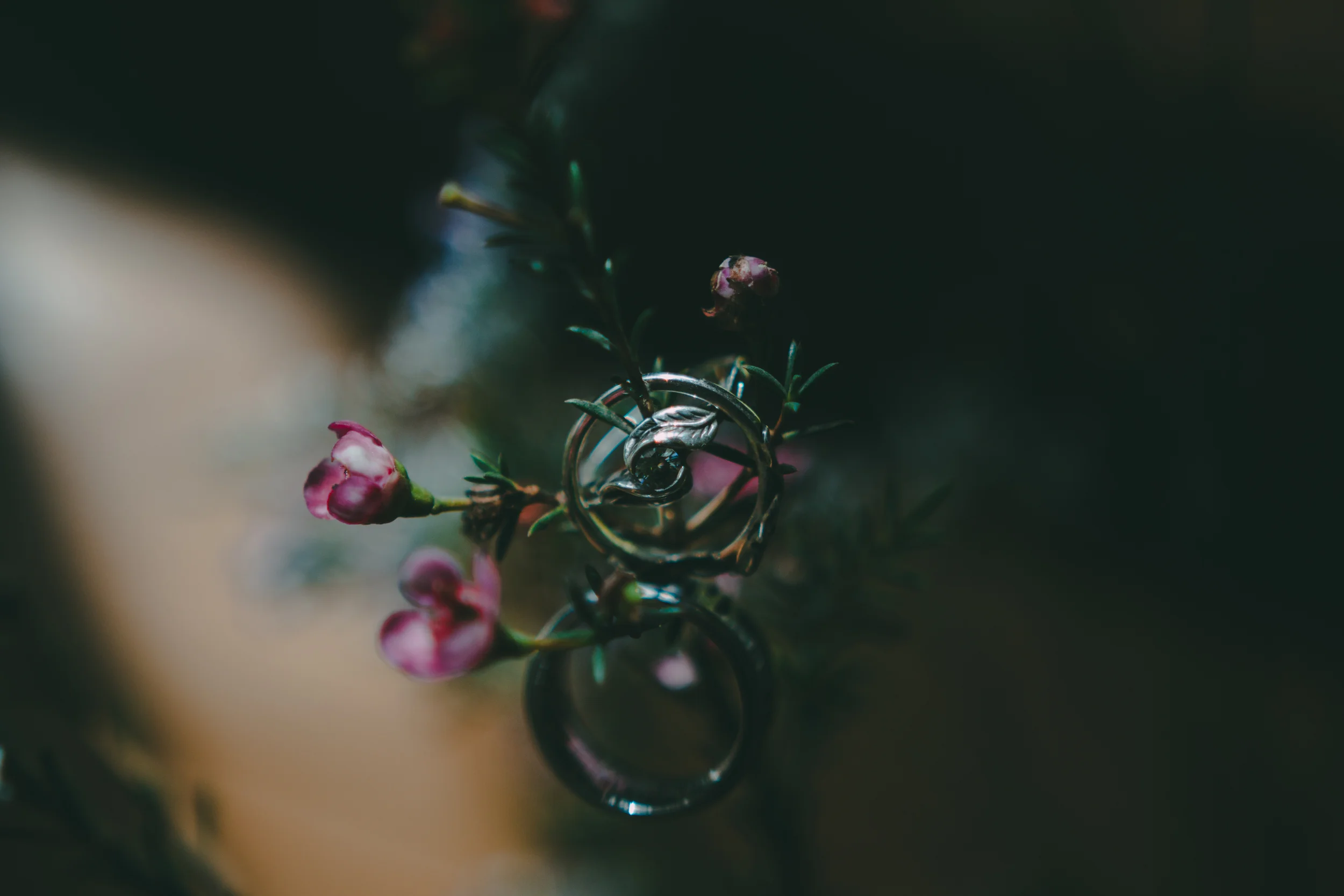 ROBINLISAWEDDING-242.jpg