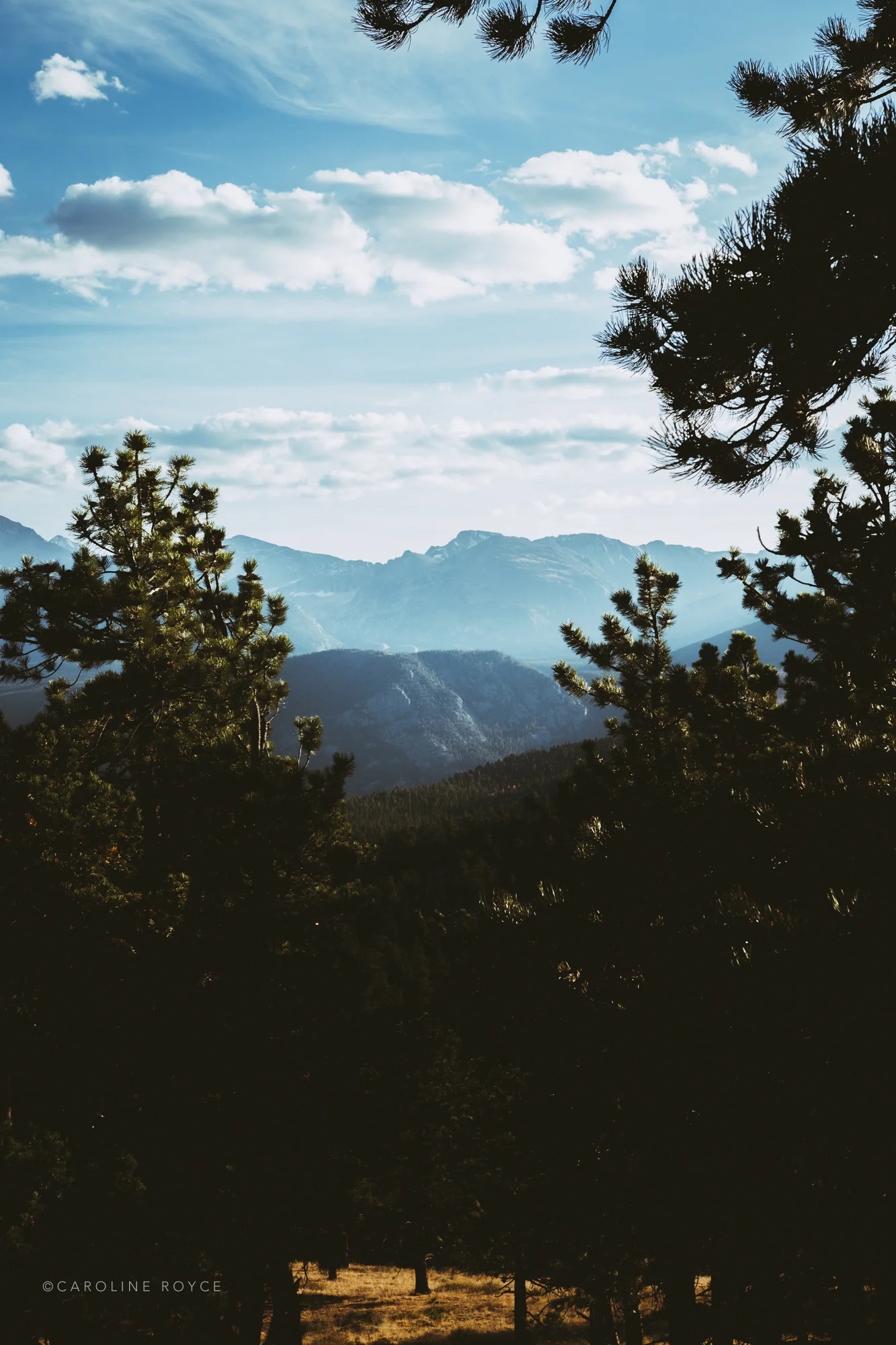 COLORADO_NEWPROCESS-11.jpg