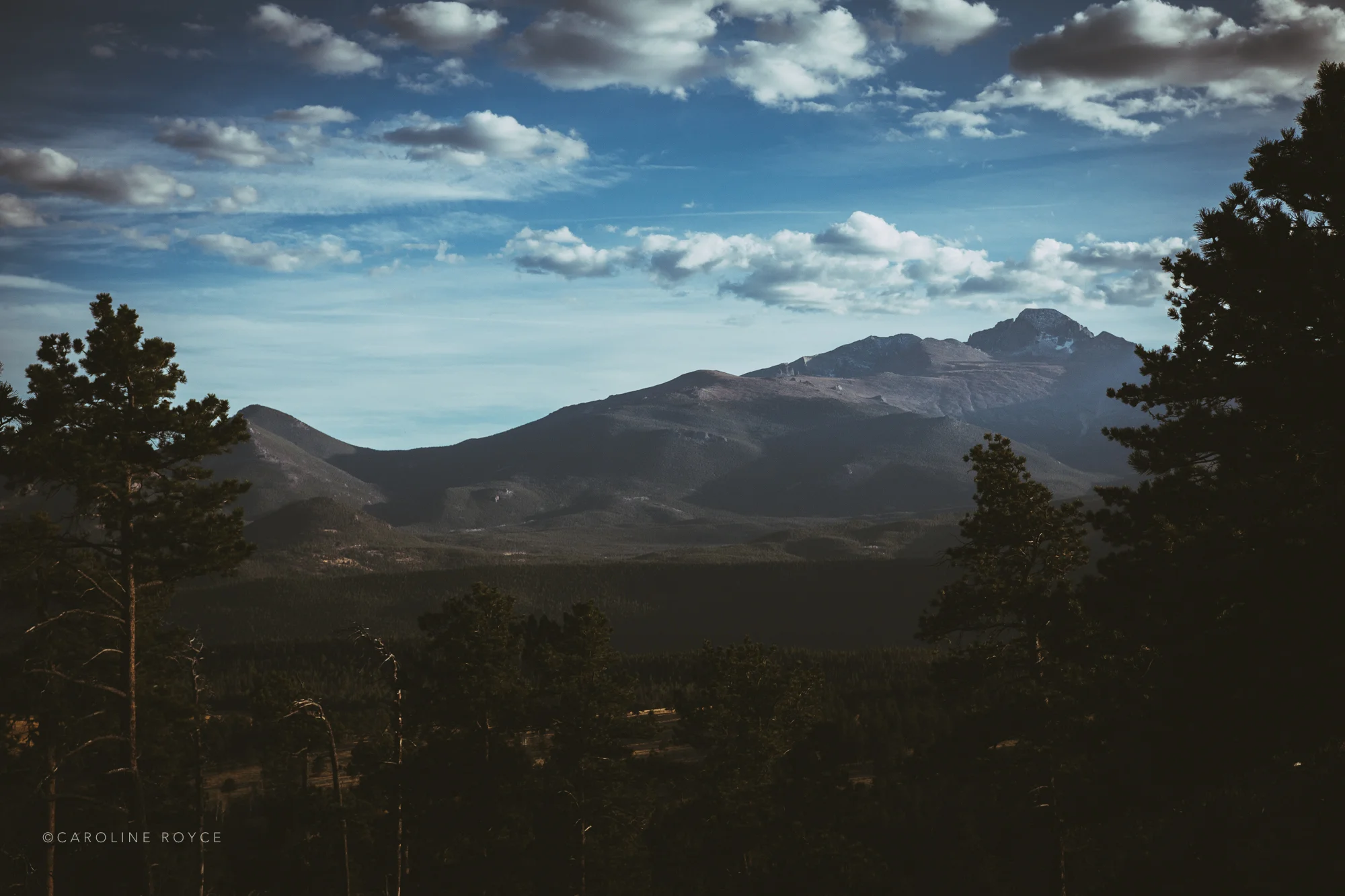 COLORADO_NEWPROCESS-12.jpg