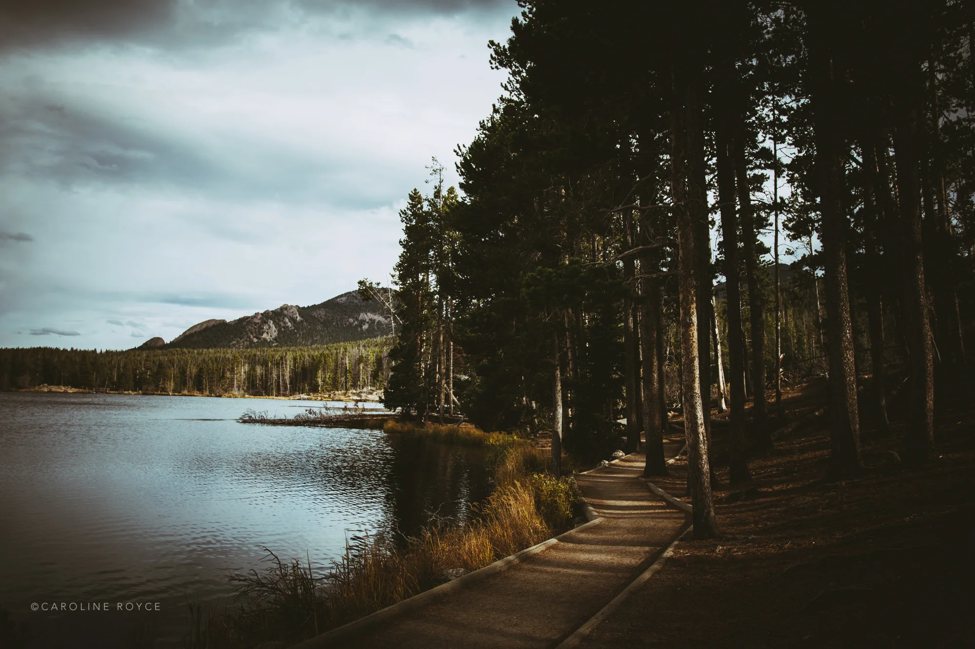 COLORADO_NEWPROCESS-35.jpg