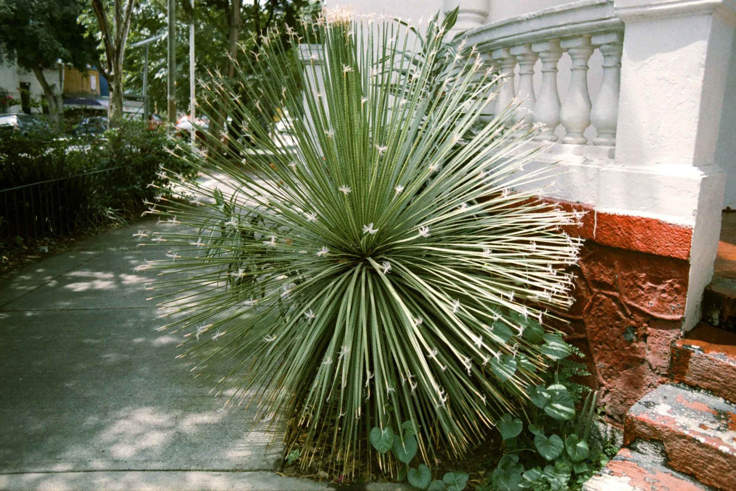 SABRINA-SANTIAGO_Mexico34.jpg