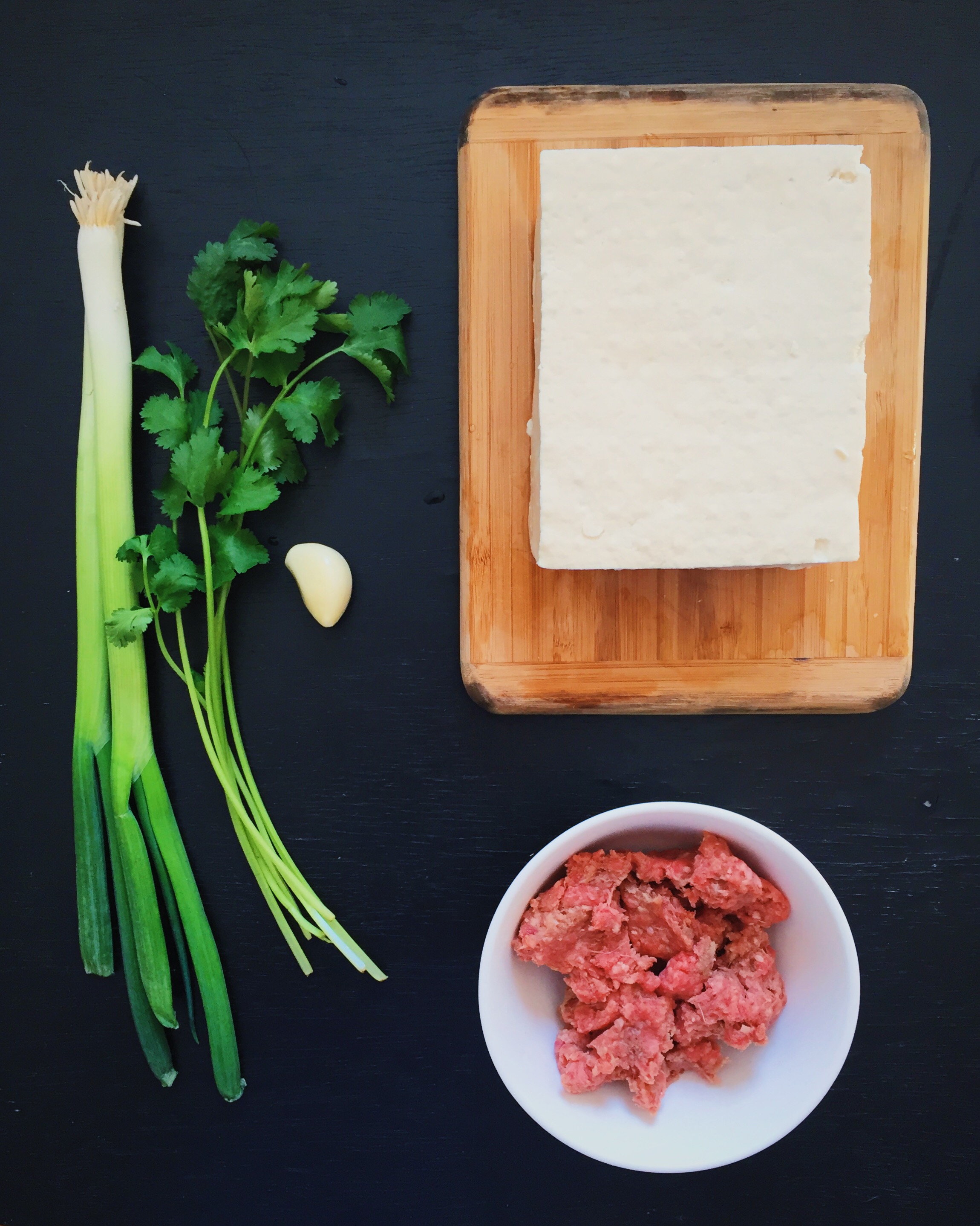 Ma Pao Tofu Ingredients 