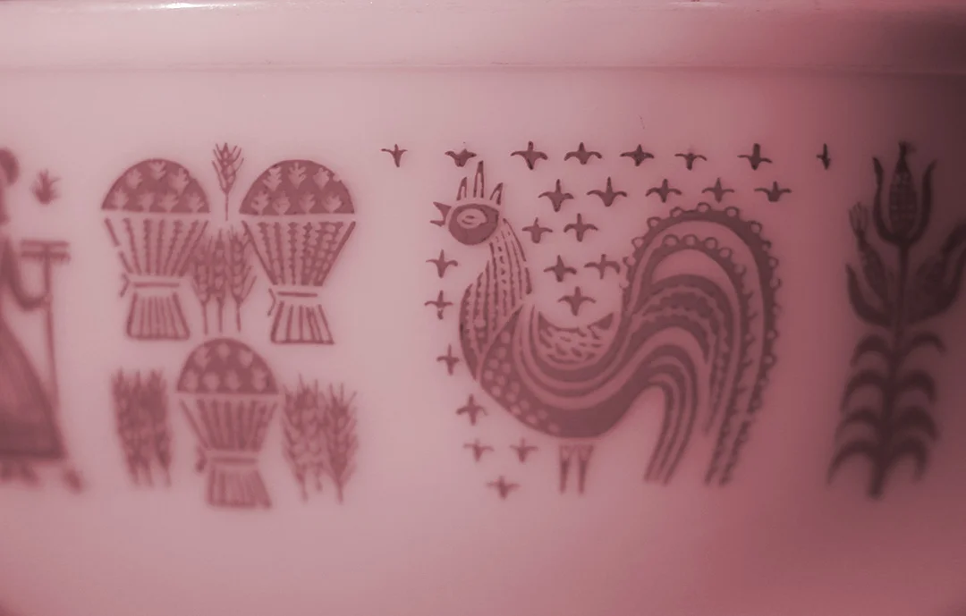 header.image2.jpg