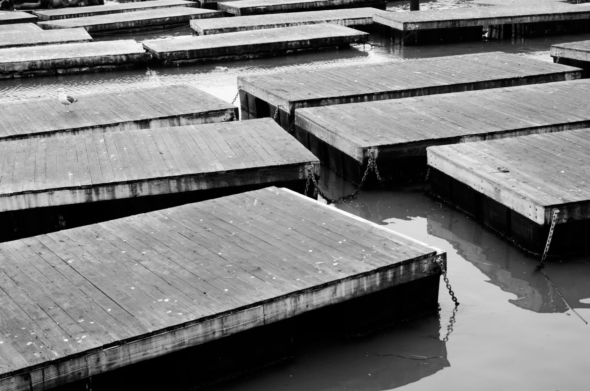 Docks.jpg