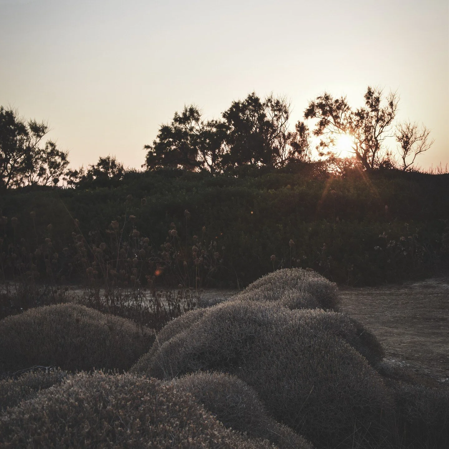 &ldquo;This morning, the sun endures past dawn. I realise that it is August: the summer's last stand.&rdquo; 
― Sara Baume, A Line Made by Walking

#summer #photooftheday #photo #sun #greece #etsyseller #art #inspiration #gemquotes #photographylovers