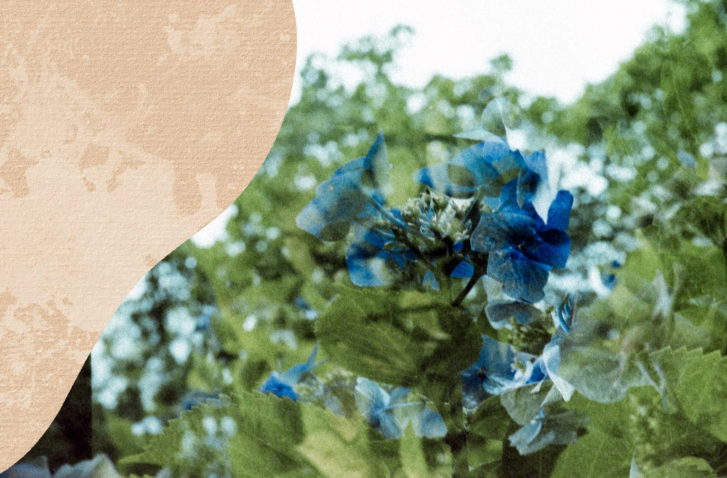 Collective Healing Counselling And Consulting Anti Oppressive Trauma