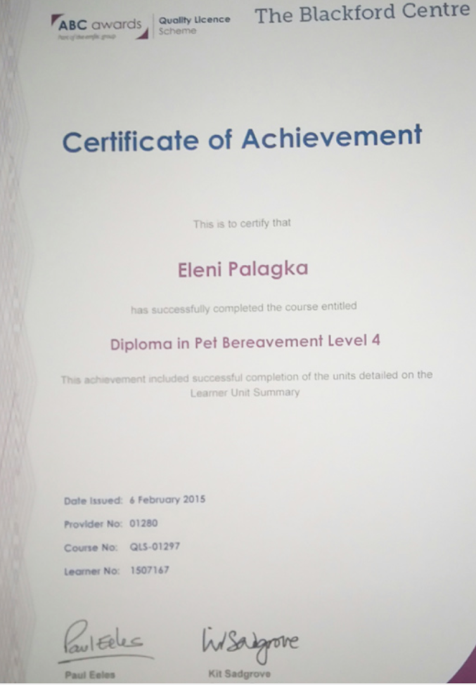 cert13.png