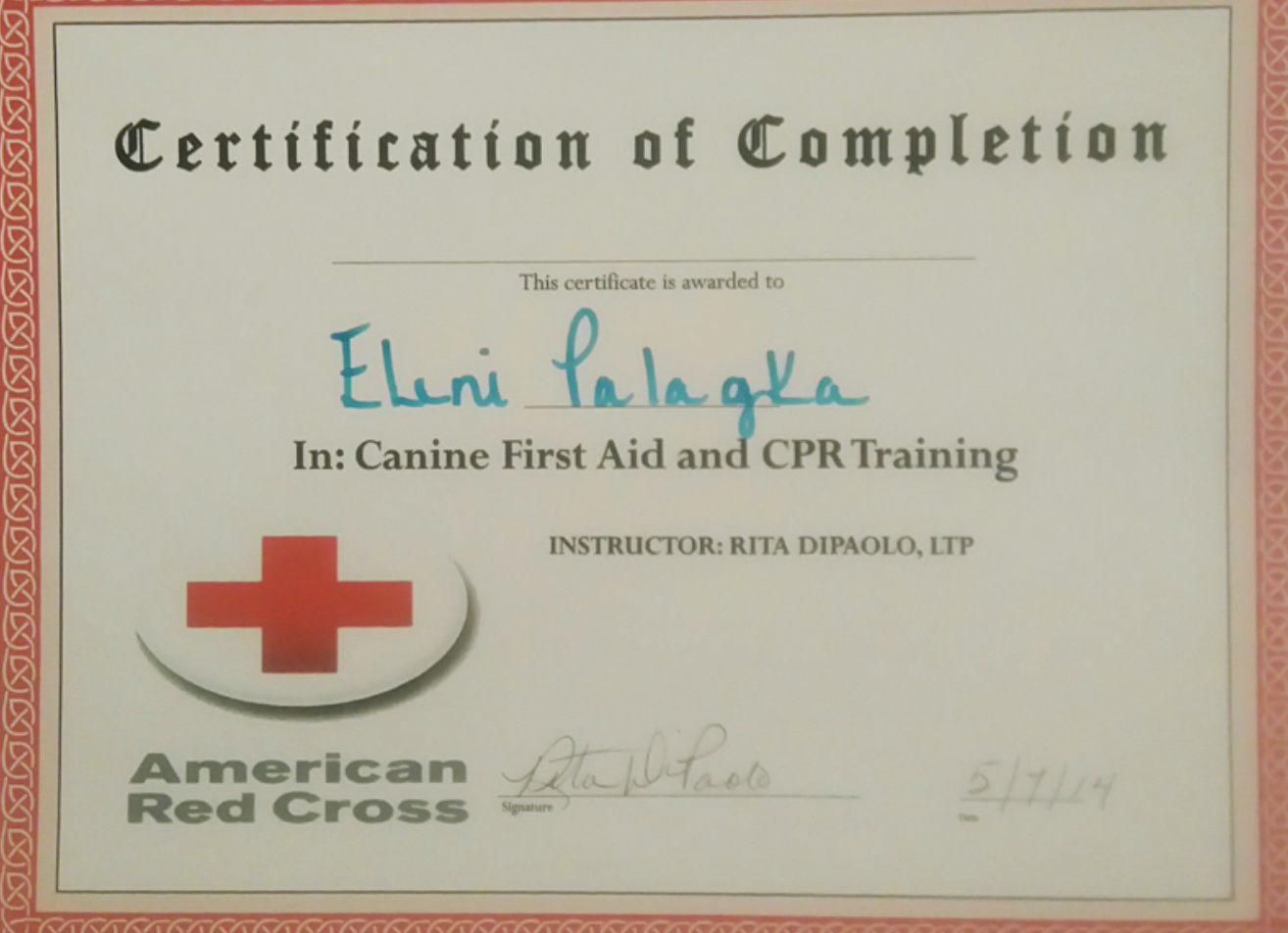 Cert8.png