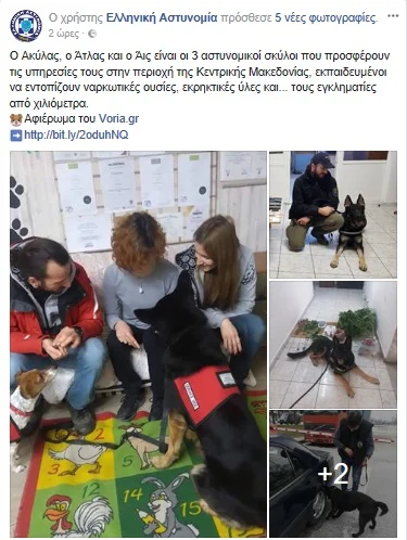 ELAS post.jpg