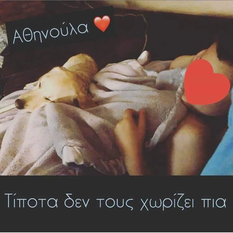 FB_IMG_1576189042146.jpg