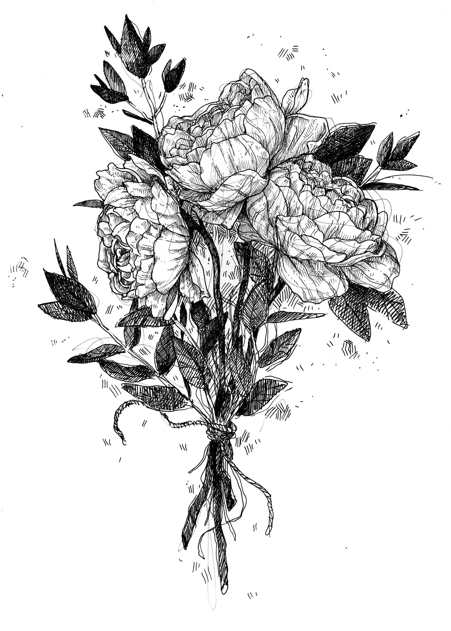 Inktober: Peonies