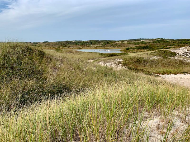 Tour of Squibnocket Pond Reservation