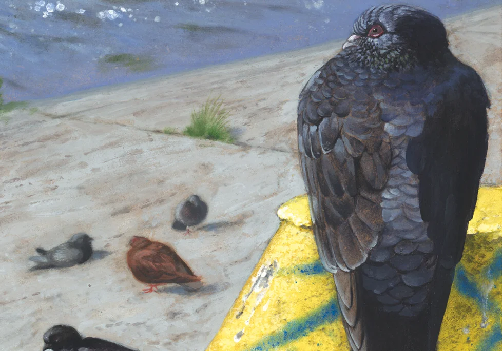 Pigeon Diagram . Detail. 2006 - acrylic on board. 2' x 1'.