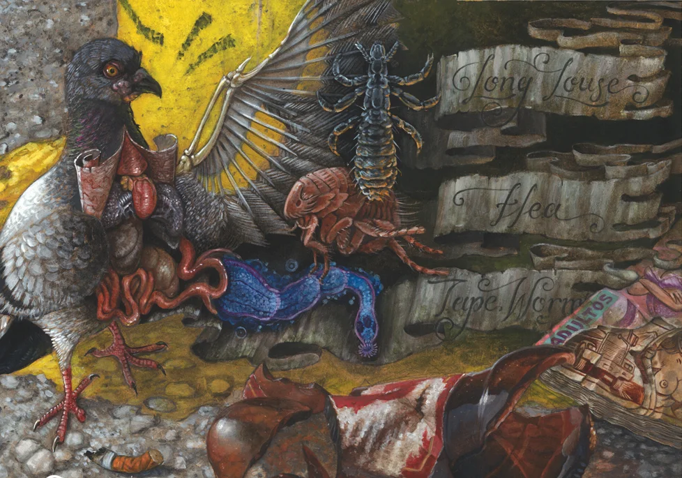 Pigeon Diagram . Detail. 2006 - acrylic on board. 2' x 1'.