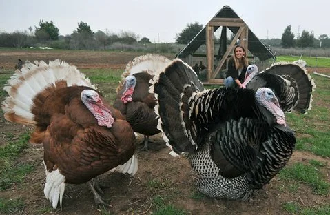 Katherine Anderson, Poultry Farmer