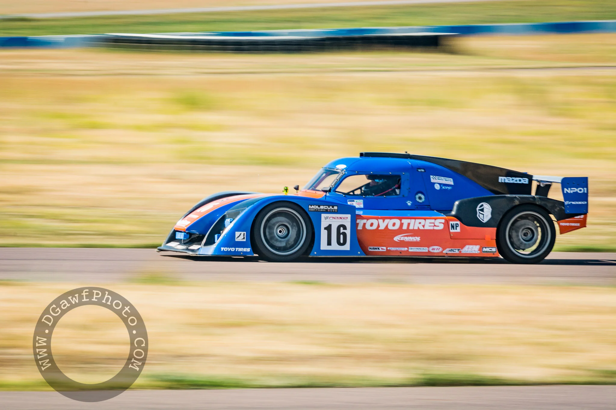 DGawfPhoto-21.jpg