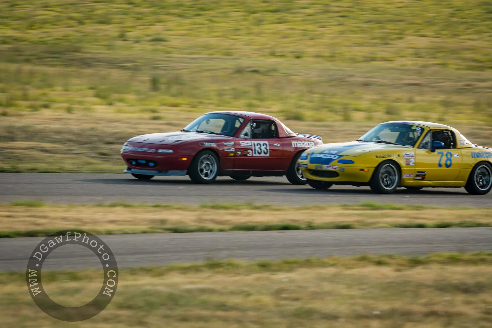 DGawfPhoto-53.jpg