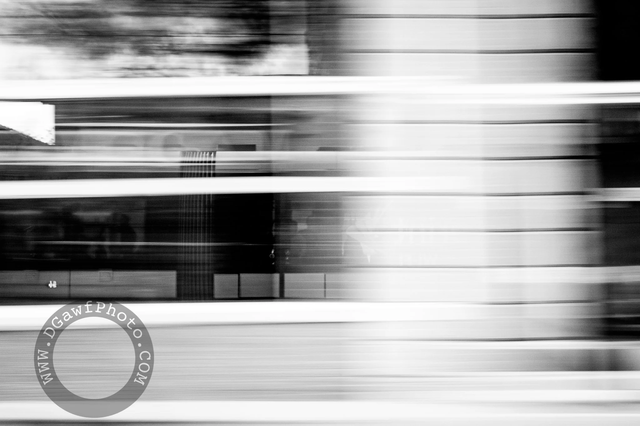 DGawfPhoto-10.jpg