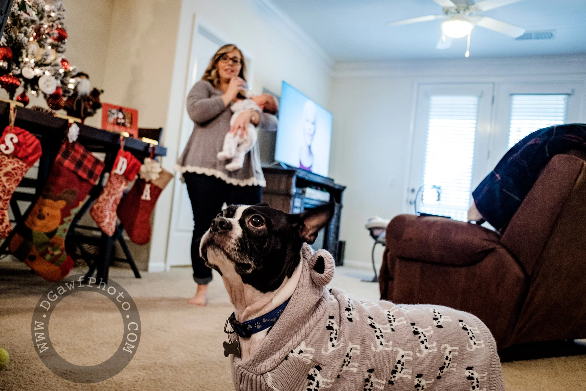 DGawfPhoto-5.jpg