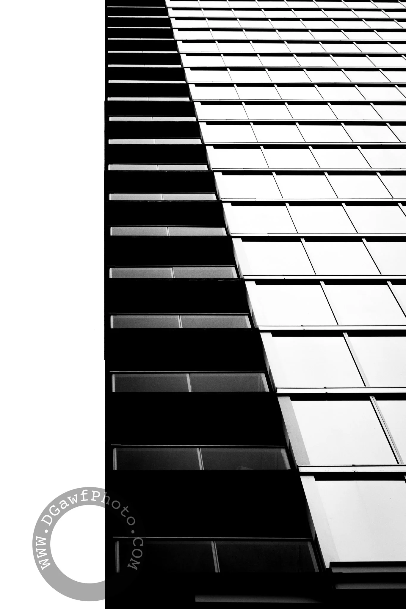 DGawfPhoto-18.jpg